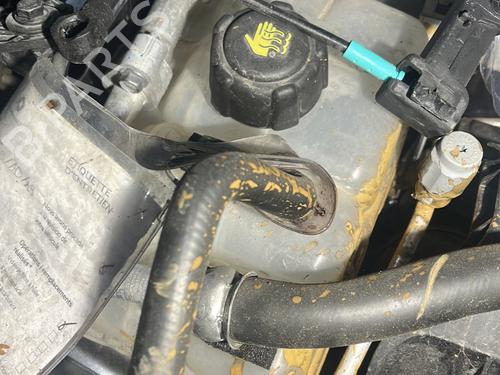 Used Expansion tank RENAULT MEGANE IV Hatchback (B9A/M/N_) 1.5 dCi 110 (B9A3) (110 hp) 29422556