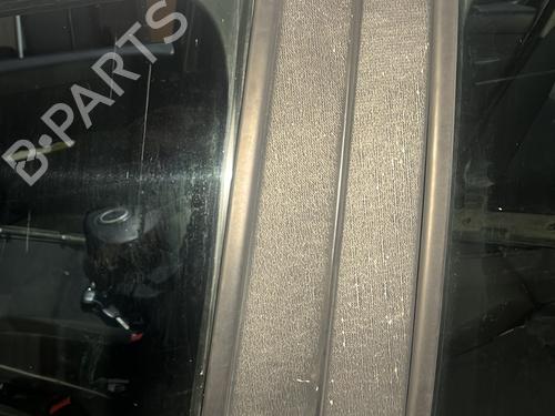 Left front door RENAULT CLIO III (BR0/1, CR0/1) 1.2 16V Hi-Flex (BR1U, CR1U) | BP29428646C2 