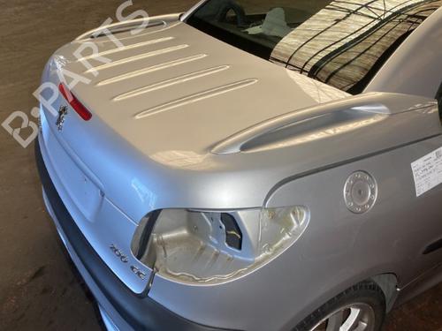 Tailgate PEUGEOT 206 CC (2D) 1.6 16V (2DNFUF, 2DNFUR) | BP20868975C6 
