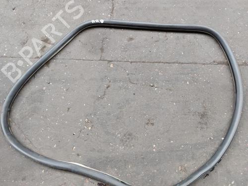 Gummiliste CITROËN C5 III (RD_) 1.6 HDi 110 (RD9HL0, RD9HR8, RD9HRA) (112 hp) 21860972