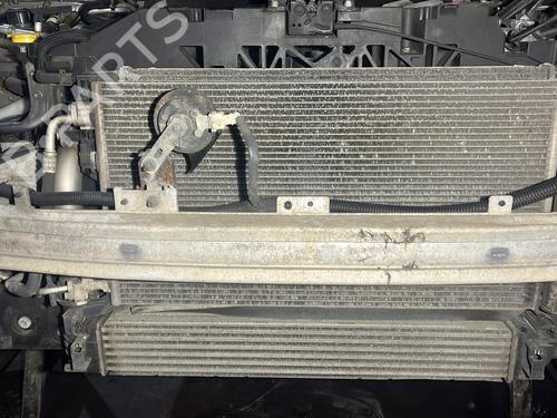Used Water radiator RENAULT SCÉNIC III (JZ0/1_) 1.5 dCi (110 hp) 31852254