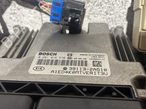 Used Electronic module Electronic module KIA CEE'D SW (ED) 1.6 CRDi 115 (115 hp) 31019247 31019247
