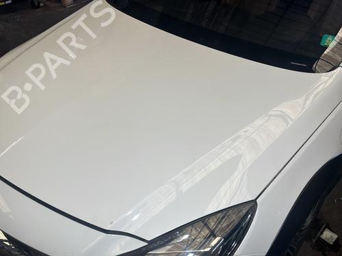 hood-opel-insignia-a-country-tourer-g09-2008-2009-2010-2011-2012-2013-2014-2015-2016-2017-26934583 main image