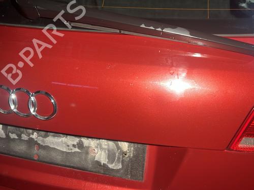 Bakluke CC/Kombi-Kupé AUDI A3 Sportback (8PA) 1.9 TDI | BP30931339C6