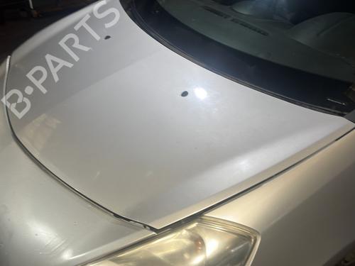 Hood RENAULT CLIO III (BR0/1, CR0/1) 1.2 16V Hi-Flex (BR1U, CR1U) | BP29428637C1 