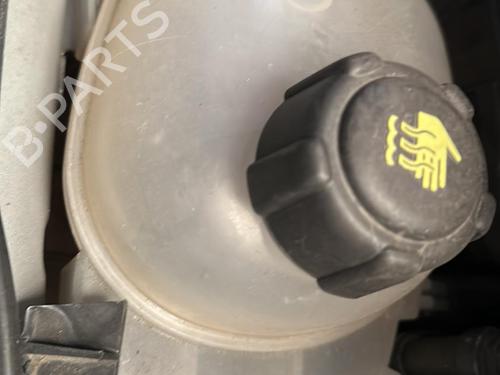 Used Expansion tank RENAULT TWINGO III (BCM_, BCA_) 1.0 SCe 70 (71 hp) 25843985