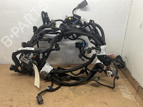 Used Wiring harness PEUGEOT 2008 I (CU_) 1.6 HDi (92 hp) 25037433