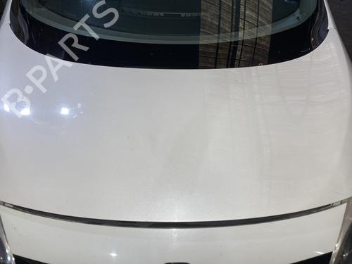 Used Hood RENAULT SCÉNIC III (JZ0/1_) 1.6 dCi (JZ00, JZ12) (130 hp) 23797246