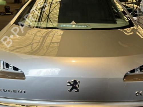 Bakluke CC/Kombi-Kupé PEUGEOT 607 (9D, 9U) 2.7 HDi 24V (204 hp) 20866001