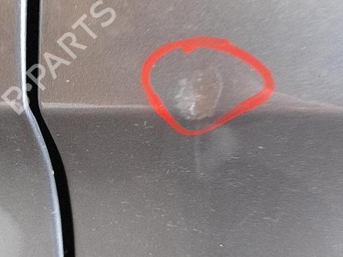 Porta anteriore sinistra MERCEDES-BENZ B-CLASS Sports Tourer (W245) B 180 CDI (245.207) (109 hp) 25844097