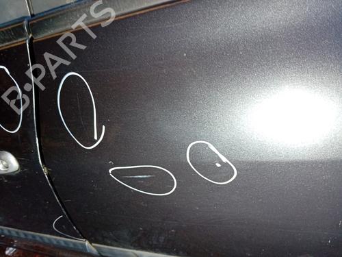 Left rear door RENAULT CLIO III (BR0/1, CR0/1) 1.5 dCi (BR17, CR17) | BP21866090C4 