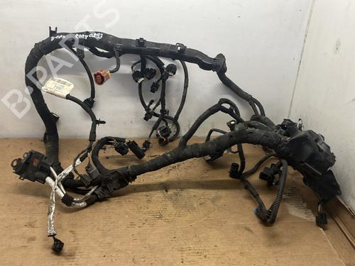 Used Wiring harness FORD B-MAX (JK) 1.0 EcoBoost (120 hp) 25037434