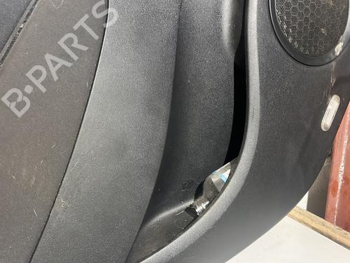 Rear left panel RENAULT SCÉNIC III (JZ0/1_) 1.5 dCi | BP31941572C60