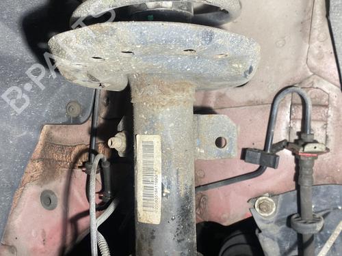 Used Right front shock absorber FIAT BRAVO II (198_) 1.6 D Multijet (198AXH1B) (105 hp) 22519732