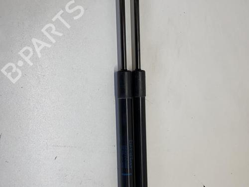 Used Tailgate lift support RENAULT MEGANE III Hatchback (BZ0/1_, B3_) 1.2 TCe (BZ2B, BZ11) (116 hp) 20871866