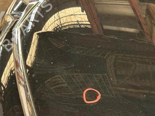 BP20870694C1 main image