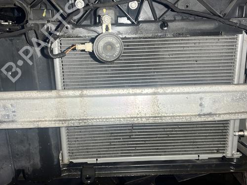 Kjøler RENAULT CLIO III (BR0/1, CR0/1) 1.2 16V Hi-Flex (BR1U, CR1U) (75 hp) 29428703