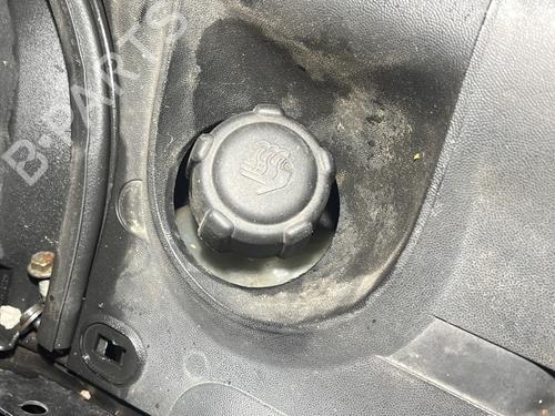 Used Expansion tank RENAULT MEGANE II Estate (KM0/1_) 1.9 dCi (KMRG, KM1G, KM0G, KM2C) (120 hp) 29960024