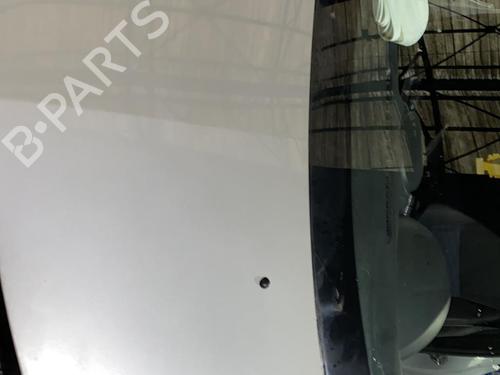 Used Hood RENAULT CLIO III (BR0/1, CR0/1) 1.5 dCi (C/BR0G, C/BR1G) (68 hp) 20867659