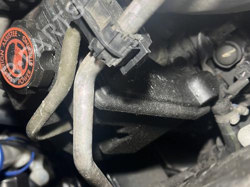 Steering pump PEUGEOT 206+ (2L_, 2M_) 1.4 i | BP30105142M99 