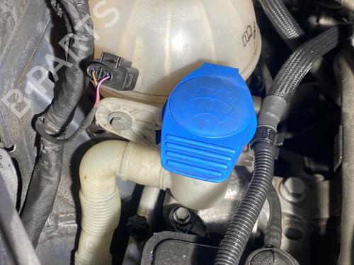 Windscreen washer tank VW GOLF PLUS V (5M1, 521) 1.4 TSI | BP22894143C113 