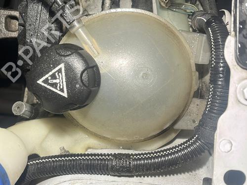 BP31376434C120 main image