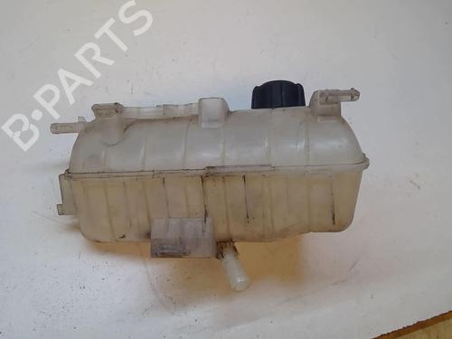 Expansion tank RENAULT KANGOO / GRAND KANGOO II (KW0/1_) 1.5 dCi 90 (KW05, KW08, KW0G, KW11) | BP21858599C120 