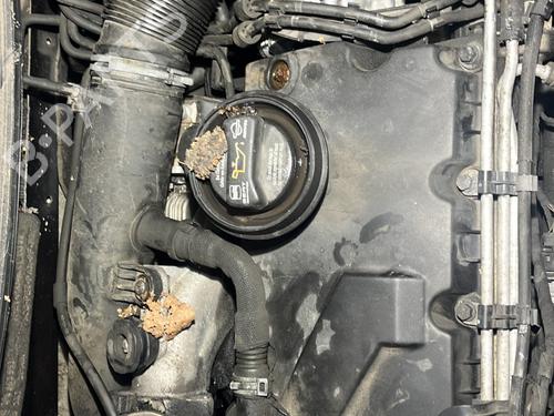 Turbolader/Kompressor SEAT LEON (1P1) 1.9 TDI | BP29865126M71