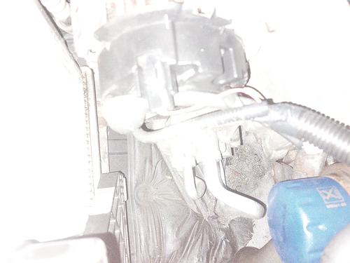 Used Alternator NISSAN PRIMERA Hatchback (P12) 1.9 dCi (120 hp) 20870090