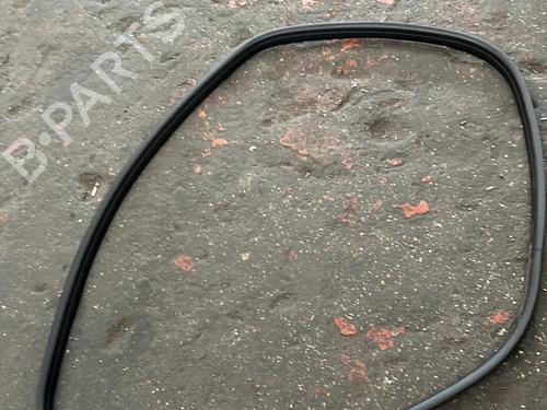 Used Rubber door seal RENAULT CLIO V (B7_) 1.5 Blue dCi 85 (B7AG) (86 hp) 21863434