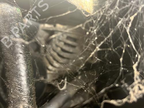 Generator BMW X5 (E53) 4.4 i (286 hp) 31581269