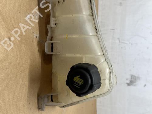Expansion tank RENAULT KANGOO Express (FW0/1_) 1.5 dCi 75 (FW07, FW10, FW04) 7701478318
