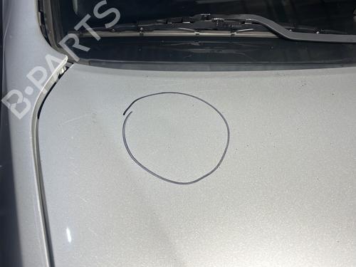 Hood HYUNDAI i20 I (PB, PBT) 1.2 | BP29918769C1 