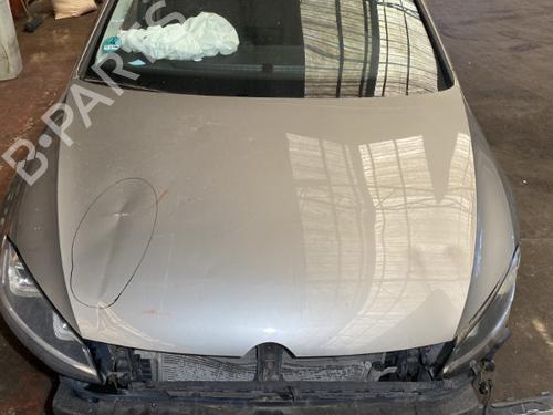 Hood VW GOLF VII (5G1, BQ1, BE1, BE2) 2.0 TDI 4motion 5G0823031J
