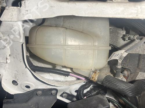 Used Expansion tank RENAULT KOLEOS II (HC_) 1.6 dCi 130 (130 hp) 31712772