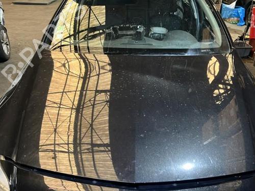 Used Hood OPEL INSIGNIA A Saloon (G09) 2.0 CDTI (69) (131 hp) 20865905
