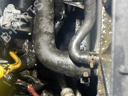 Køler RENAULT CLIO III (BR0/1, CR0/1) 1.2 16V Hi-Flex (BR1U, CR1U) | BP29428703M31 