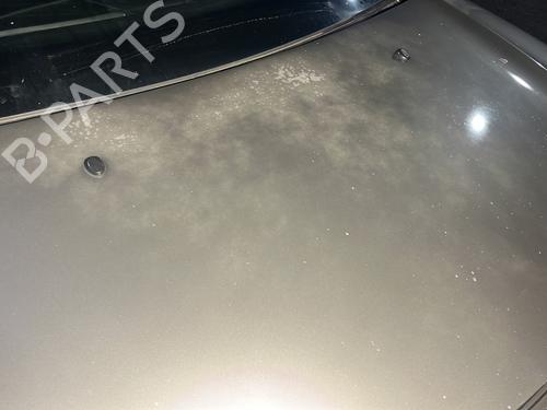 Motorhjelm CITROËN C3 II (SC_) 1.4 HDi 70 (SC8HZC, SC8HR0, SC8HP4) | BP30704165C1