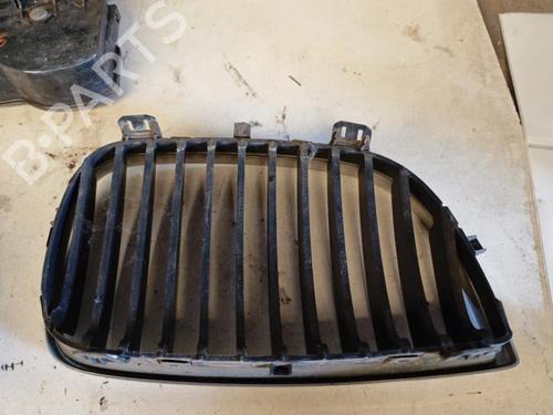 Used Grille BMW 1 (E87) 118 d (122 hp) 21863179