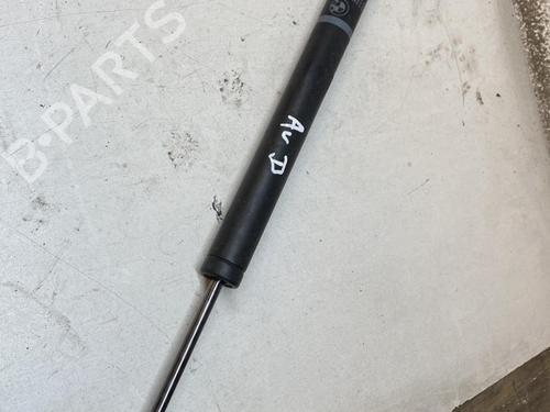 Used Hinge/Door check strap BMW 7 (F01, F02, F03, F04) 740 d xDrive (306 hp) 21862611