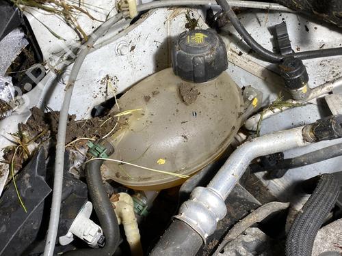 Used Expansion tank DACIA LODGY (JS_) 1.5 dCi (JSMC, JSAF) (107 hp) 24038400