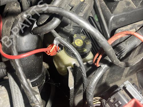 BP29960013M77 main image