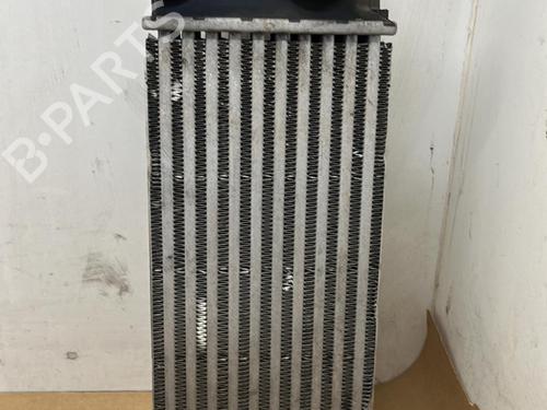 Intercooler CITROËN BERLINGO Box Body/MPV (B9) 1.6 BlueHDi 100 (99 hp) 21863337
