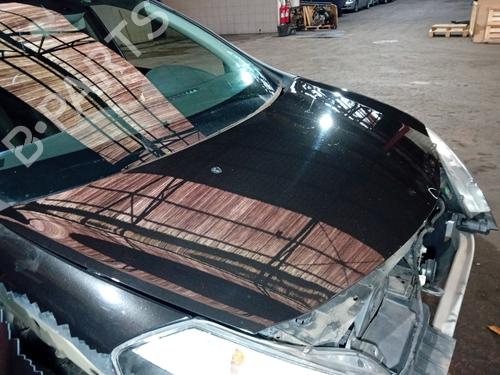 Hood RENAULT CLIO III (BR0/1, CR0/1) 1.5 dCi (BR17, CR17) | BP21063124C1 