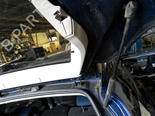 Tailgate lift support FIAT BRAVO II (198_) 1.9 D Multijet (198AXB1A) | BP20871615C138 