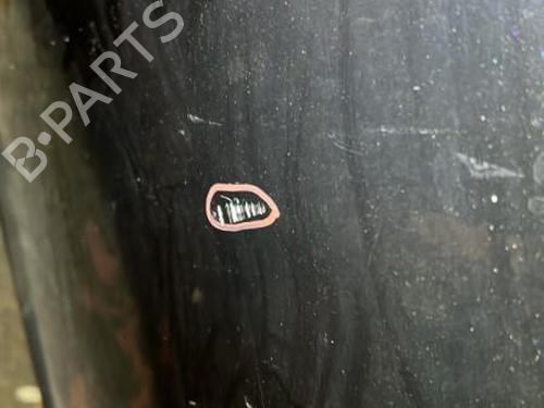 Left front door MINI MINI (R56) Cooper D | BP20869490C2 