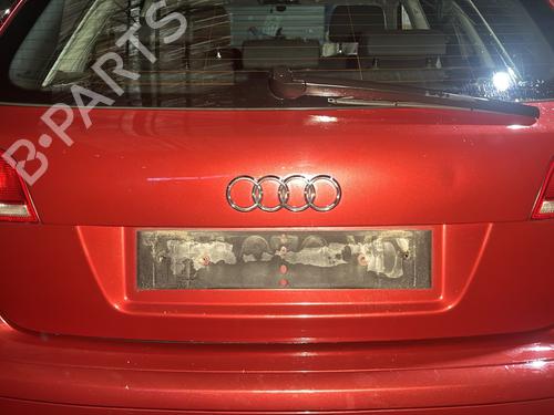 Bakluke CC/Kombi-Kupé AUDI A3 Sportback (8PA) 1.9 TDI | BP30931339C6