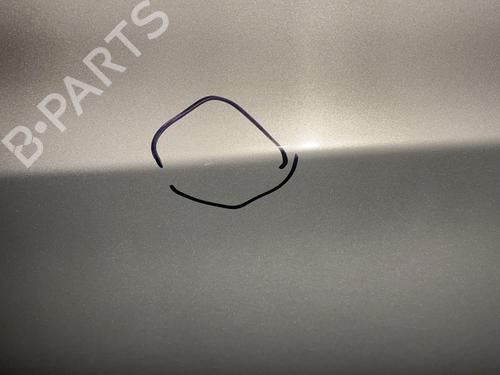 Left front door BMW 3 (E90) 320 i | BP21866171C2 