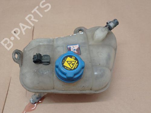 Used Expansion tank FIAT BRAVO II (198_) 1.9 D Multijet (198AXB1A) (120 hp) 20871603