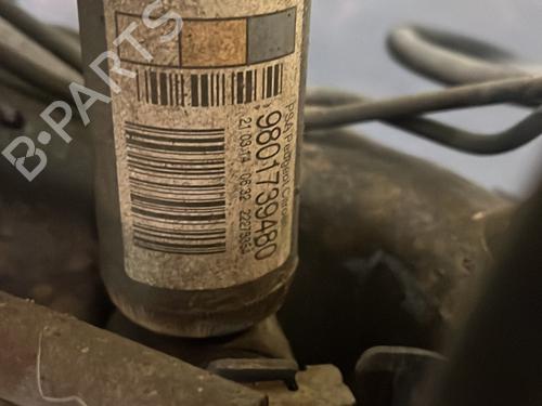 Left rear shock absorber CITROËN C3 II (SC_) 1.2 VTi 82 | BP29029288M18 